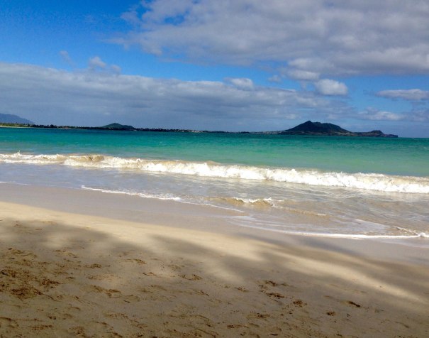 Kailua 2015 New Year